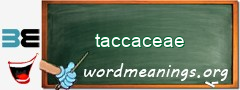 WordMeaning blackboard for taccaceae